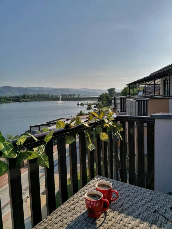 Dionis Apartamento Veliko Gradište Exterior foto